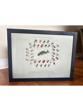 Framed Vintage Fishing Lures and Bass Print Artwork